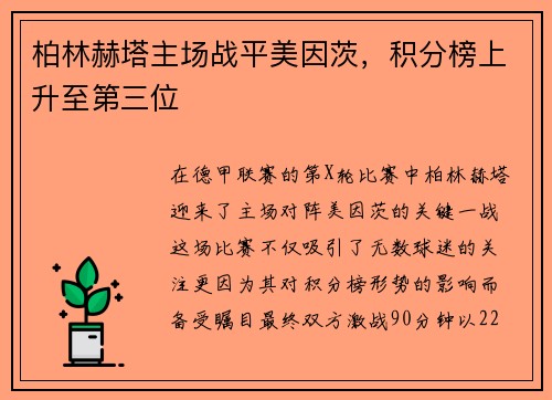 柏林赫塔主场战平美因茨，积分榜上升至第三位